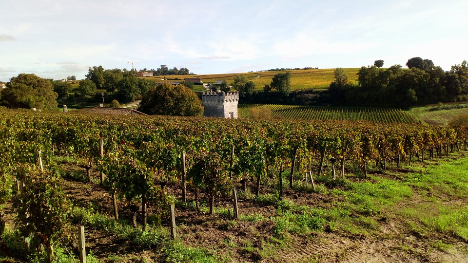 Weinregion von Bordeaux