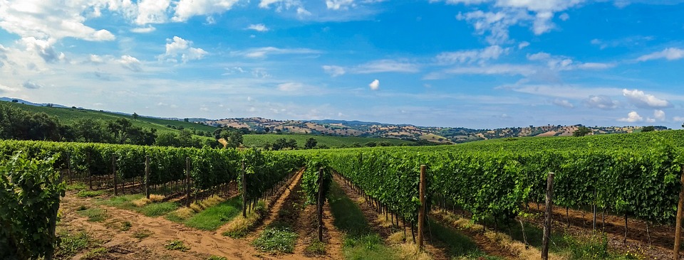 Weinregion Toskana